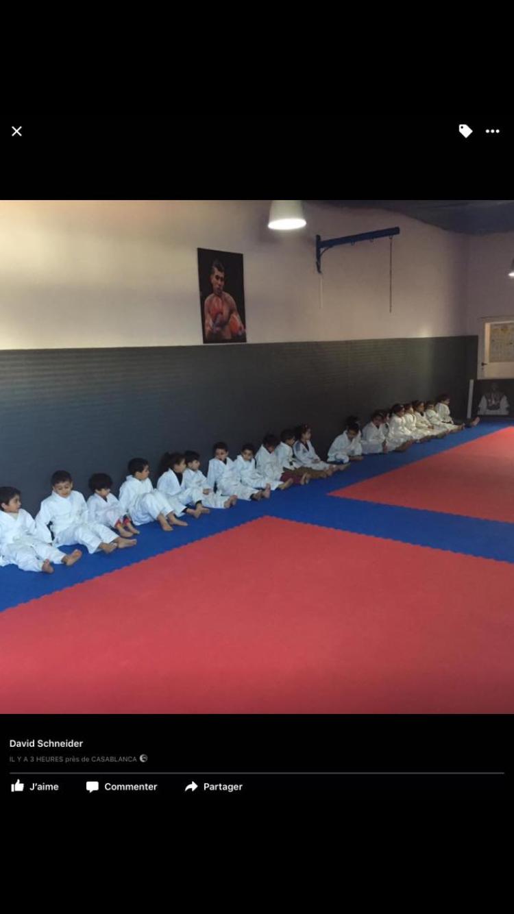 judo-mondorf — photo 2